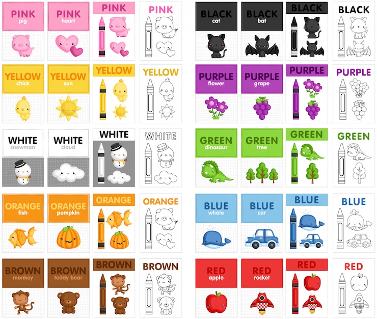Vector color flash card