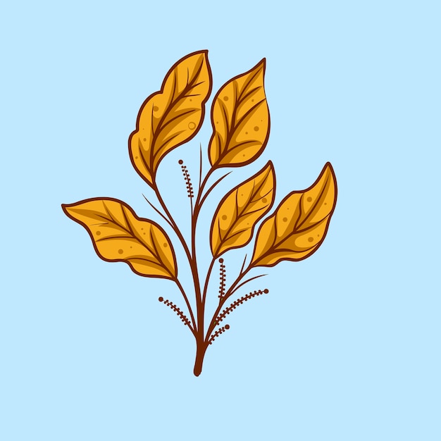 Color Floral Leaf