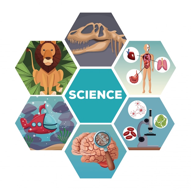 Colori le figure astratte geometriche con l'evoluzione delle scienze del mondo delle icone