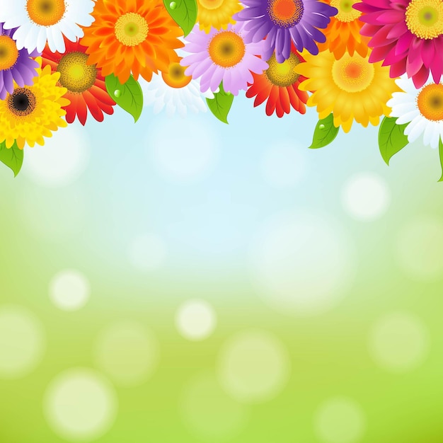 Vector color gerbers flower frame illustration