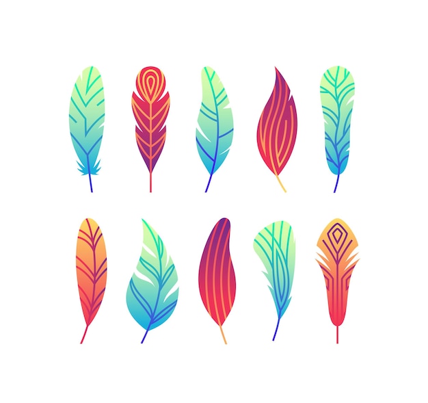 色のグラデーションの抽象的な羽のセット。明るいモノラインシンボル。