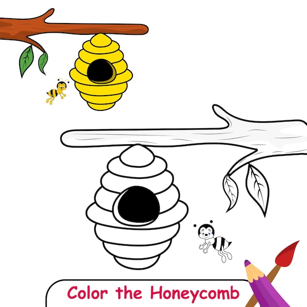 Vector color the honeycomb coloring book for kids honeycomb vector graphics