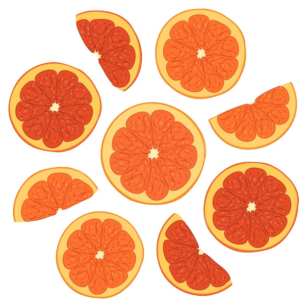 Color illustration of fresh orange slices Vector illustration of fresh citrus cuts of nine orange