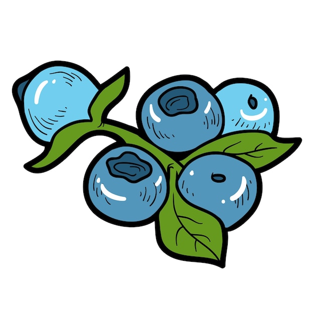 Color image, vector cartoon berry, blueberries