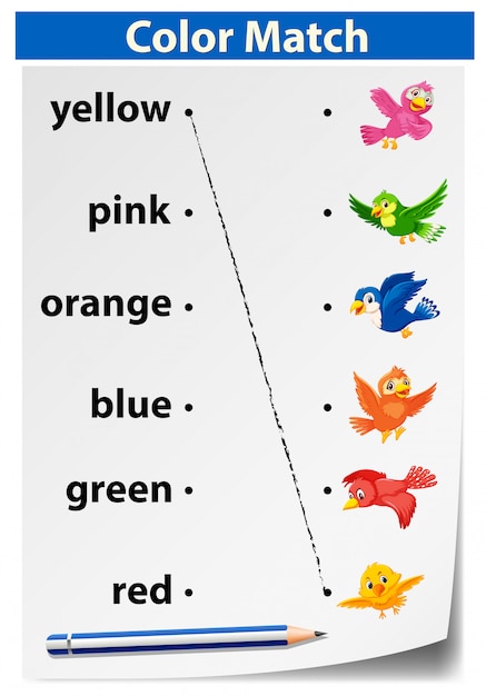 Color match birds concept
