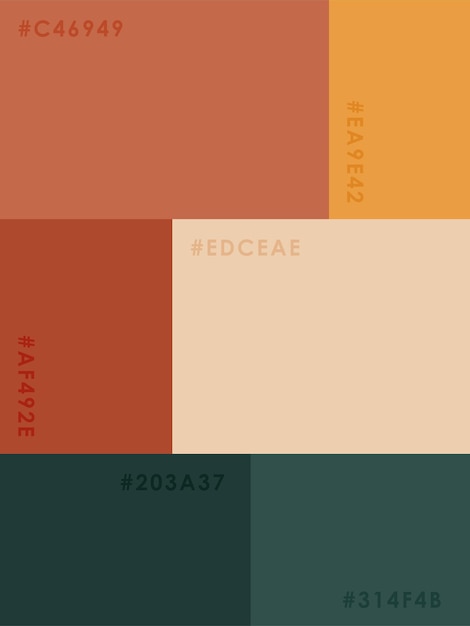 COLOR PALETTE