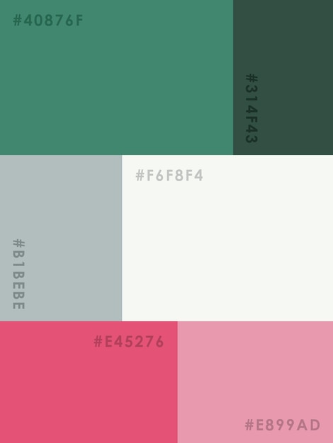 Vettore palette di colori