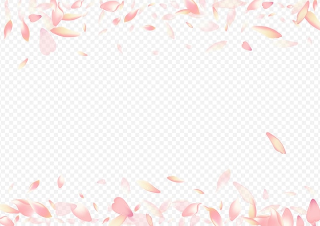 Sfondo trasparente di vettore di petalo di colore. sfondo senza cuore. poster grafico di sakura. congratulazioni per il matrimonio di peach. modello romantico fiore rosso.