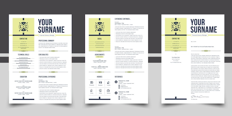 Vector color resume cv