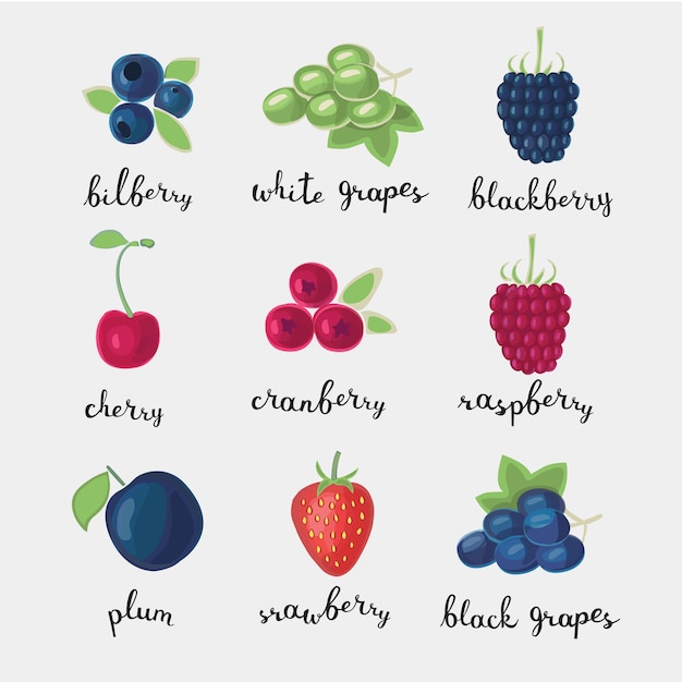 Types of Berries