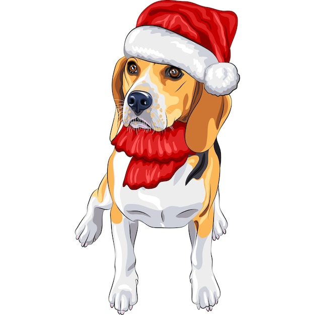 Color sketch of the dog Beagle breed in the red hat of Santa Claus