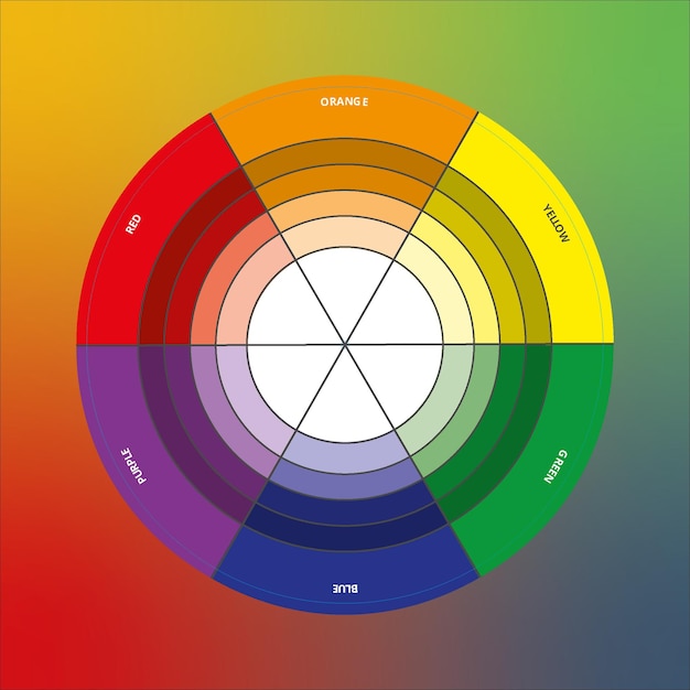 Vettore tavolozza della ruota dei colori e campione di colore