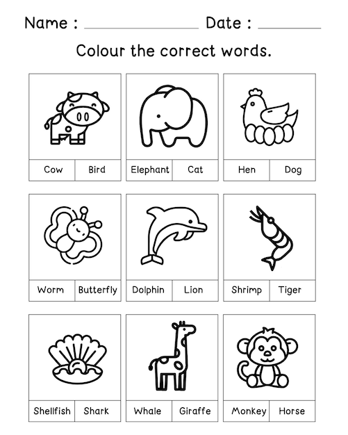 Color the worksheet and choose the correct answer