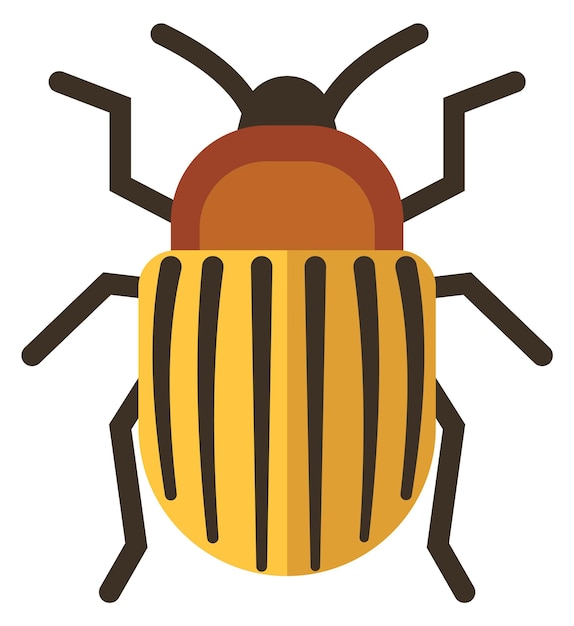 Colorado potato beetle icon striped yellow pest