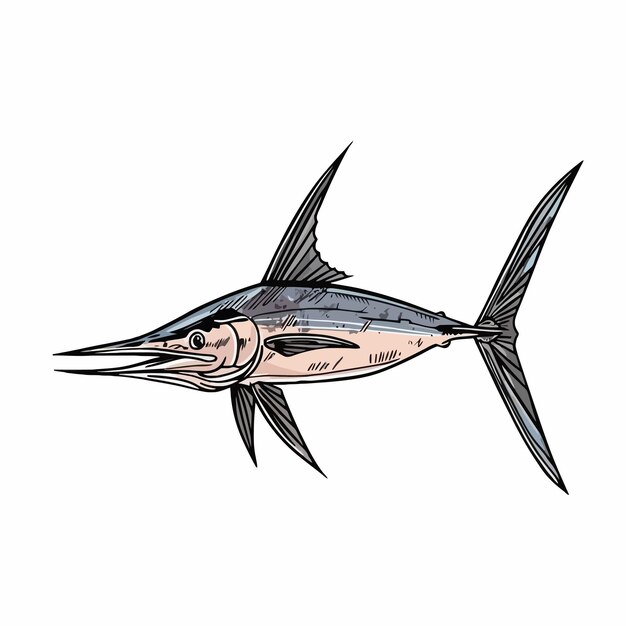 벡터 colored_atlantic_swordfish_marlin_vector