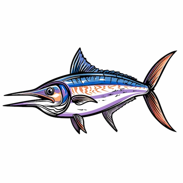 Vector colored_atlantic_swordfish_marlin_vector