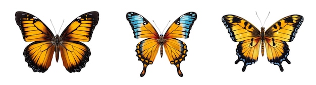 흰색 클립 아트에 고립 된 컬러 나비