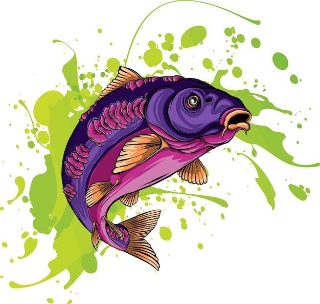 Vector colored carp fish vector illustration