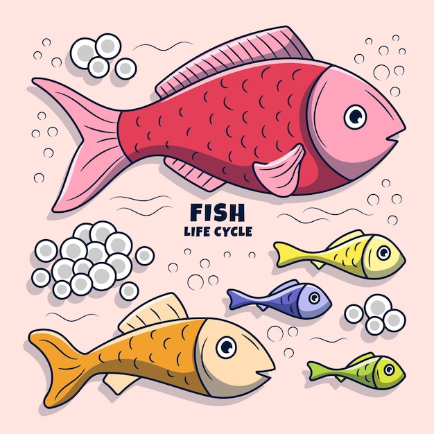 Illustrazione del ciclo di vita del pesce colorato con stile doodle disegnato a mano