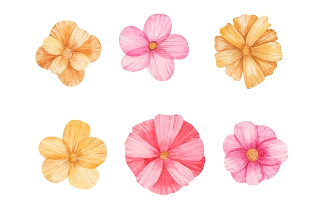 Colored flowers set watercolor illustration on a white background