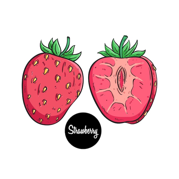 Colored hand drawn strawberry fruit with text on white background