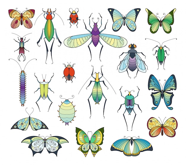 Вектор Покрашенные изоляты насекомых белые. набор векторных картинок ошибок и бабочек.