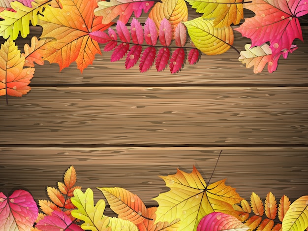 colored leaves on wooden board.
