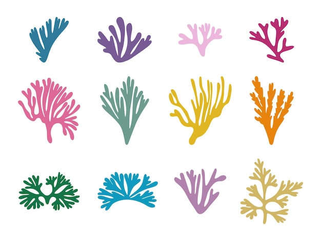 Colored seaweed set Marine plant elements Cartoon vector illustration on white background