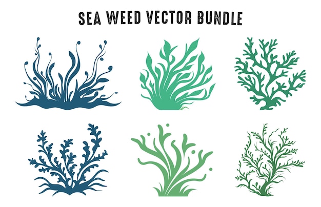 Vector colored seaweed vector set seaweed silhouette collection sea coral silhouettes clipart bundle