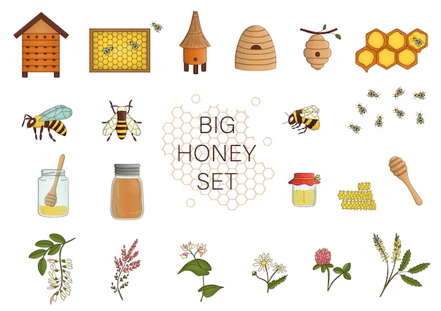 Vector colored set with honey, bee, bumblebee, beehive.