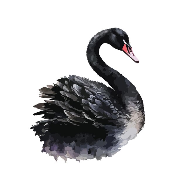 Colored Swan Vector Print Illustration