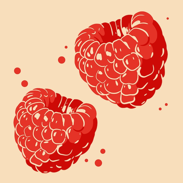 Vector colored vector illustration of rasberry for cosmetic package design medicinal herb treating