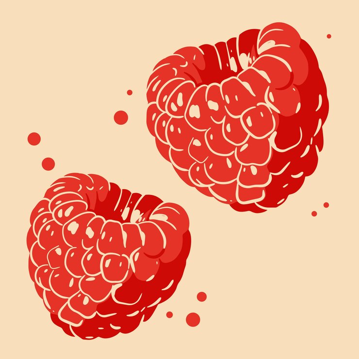 Vector colored vector illustration of rasberry for cosmetic package design medicinal herb treating
