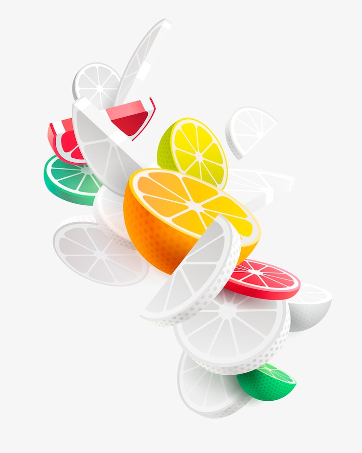 Vector colored and white citrus fruits in realistic style