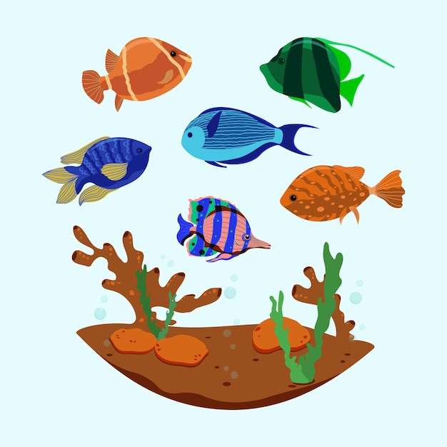 Colorful abstract fish algaes corales Vector illustration