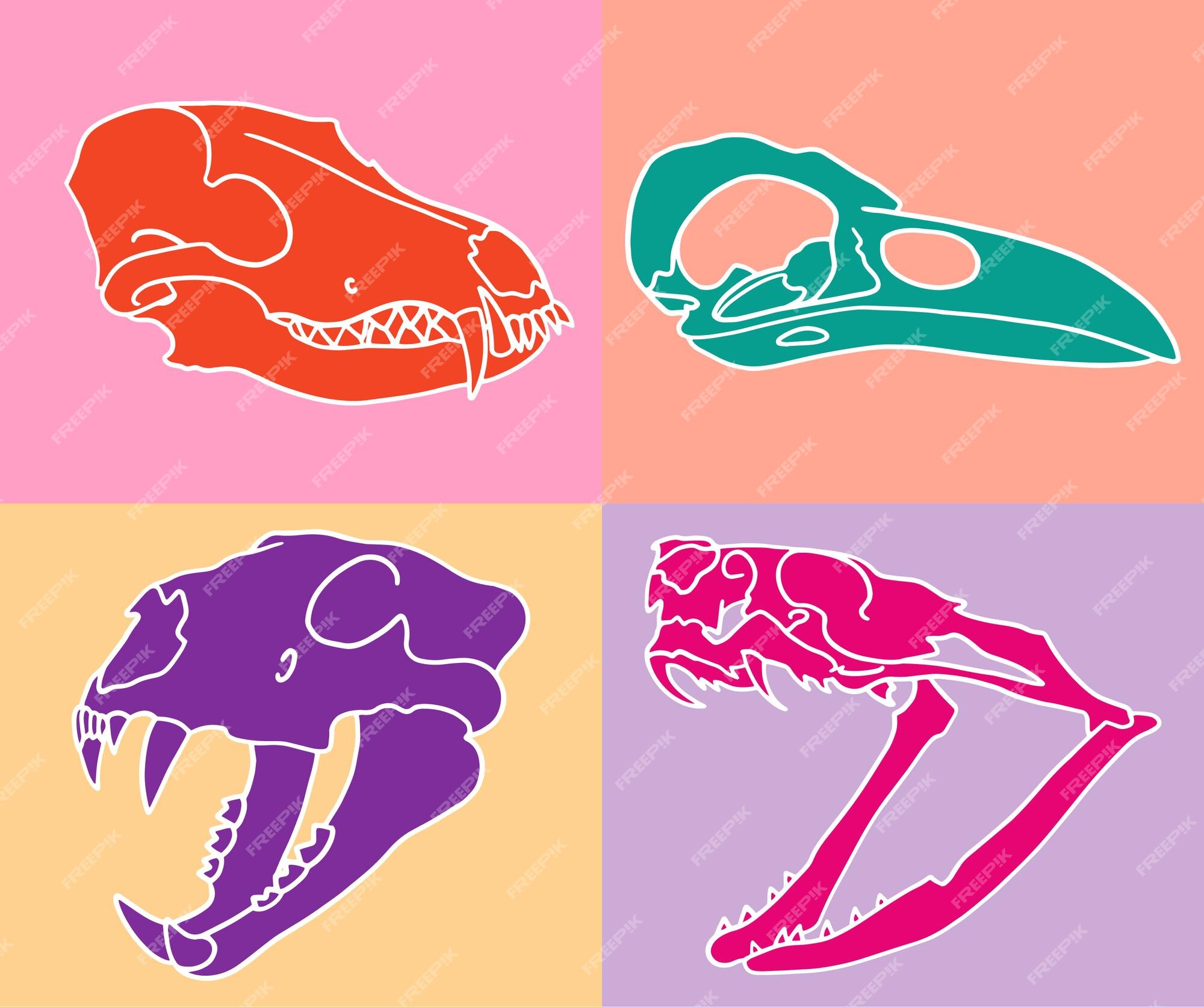 Premium Vector | Colorful animal skulls