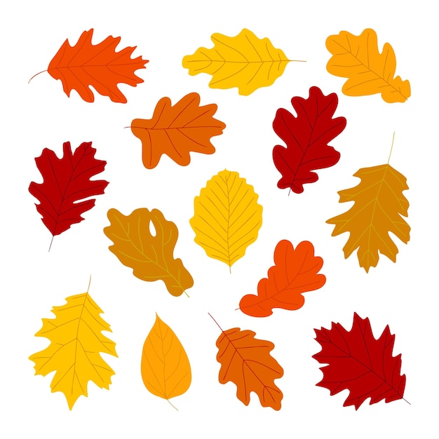 Красочные осенние разные листья осенняя листва для рисунка обложки открытки