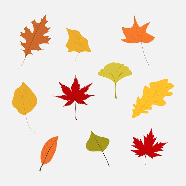 Vector colorful autumn falling leaves set