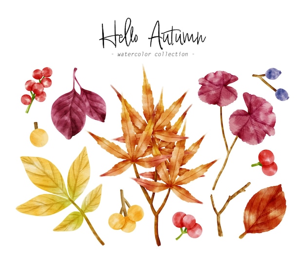 Colorful Autumn Leaf watercolor illustration for Decorative Element