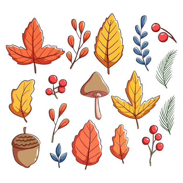 colorful autumn leaves or elements with hand drawing style