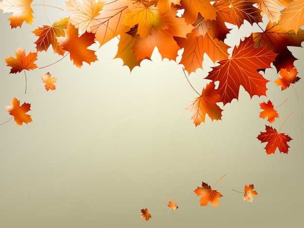 Красочные осенние листья падают и кружатся.