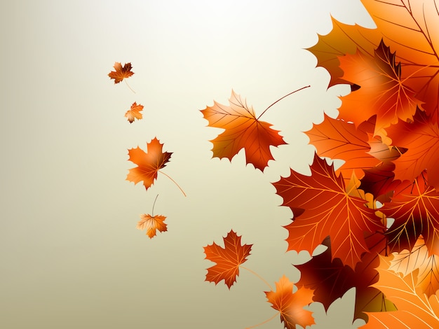 Vector colorful autumn leaves falling.