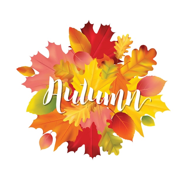 Colorful Autumn Leaves Illustration Design in with place for Text