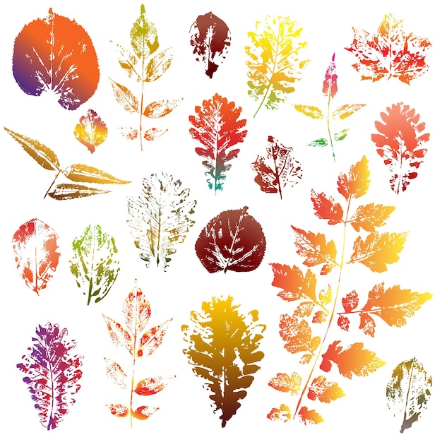 Impronte di foglie d'autunno colorate isolate su sfondo bianco illustrazione vettoriale