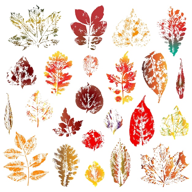 Colorful autumn leaves imprints set isolated on white background Vector illustration