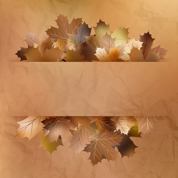 Colorful autumn leaves on a old paper