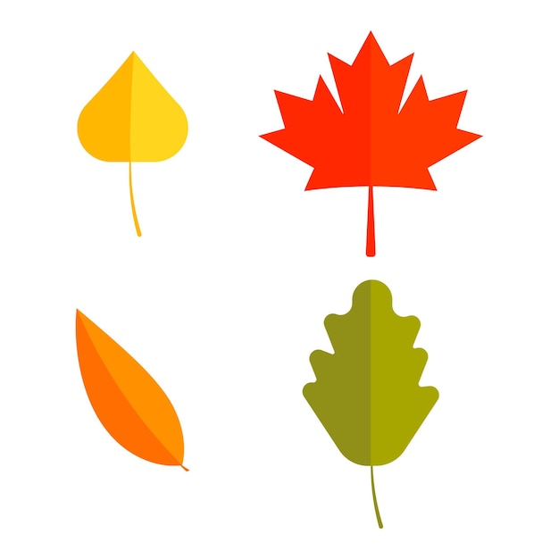 Красочные осенние листья на белом фоне Векторная иллюстрация