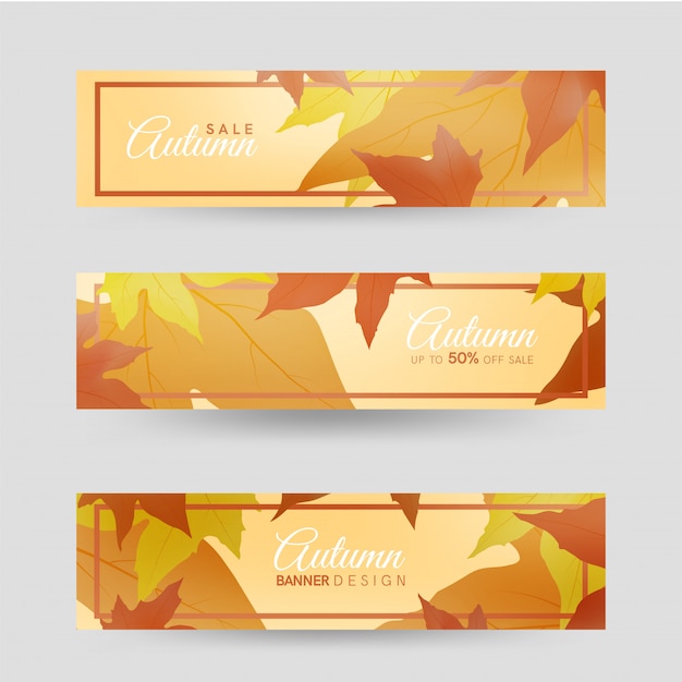 Colorful autumn leaves, with white frame, autumn forest banner templates