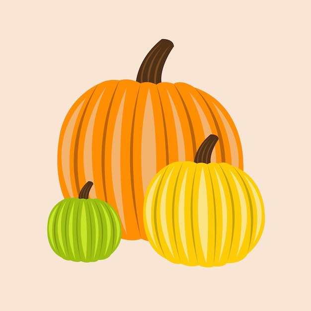 Colorful autumn pumpkin illustration