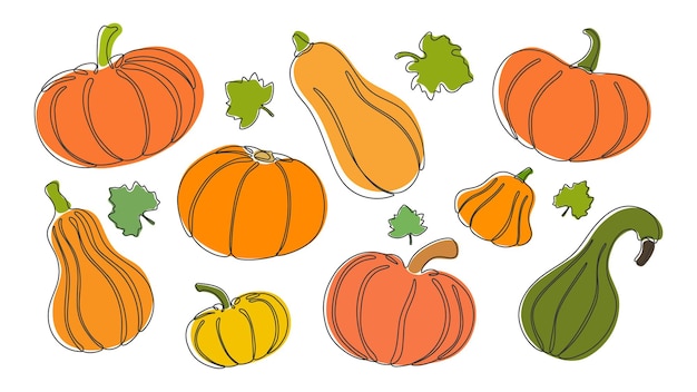 Zucche e foglie colorate autunnali collezione di zucche per il design di halloween e del ringraziamento